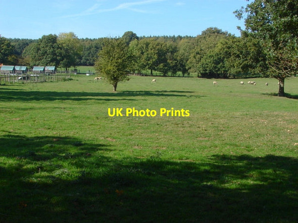 Photo 6"x4" Hunts Hill Farm Normandy\/SU9251 c2011