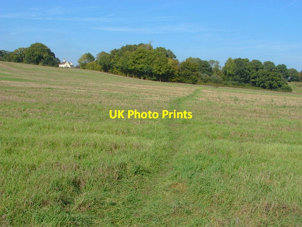 Photo 6"x4" Footpath across the fields Normandy\/SU9251 c2011