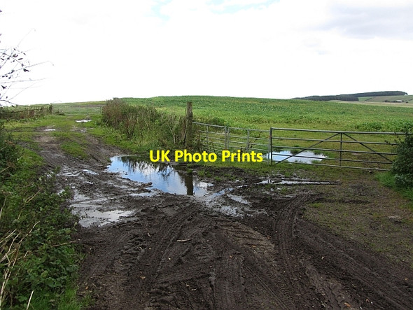 Photo 6"x4" Field access track, Fallhills Penicuik c2011