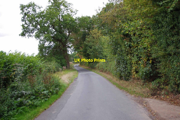 Photo 6"x4" Shackerley Lane, looking southwest Renshaw Wood c2011
