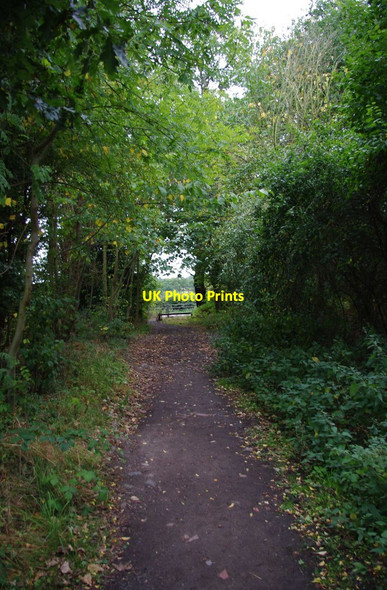 Photo 6"x4" Public footpath to Shackerley Lane Renshaw Wood c2011