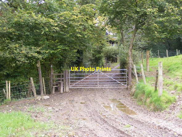 Photo 6"x4" Muddy Track Llangain c2011