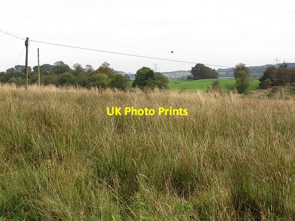 Photo 6"x4" Wet pasture, Currymire Kilsyth c2011