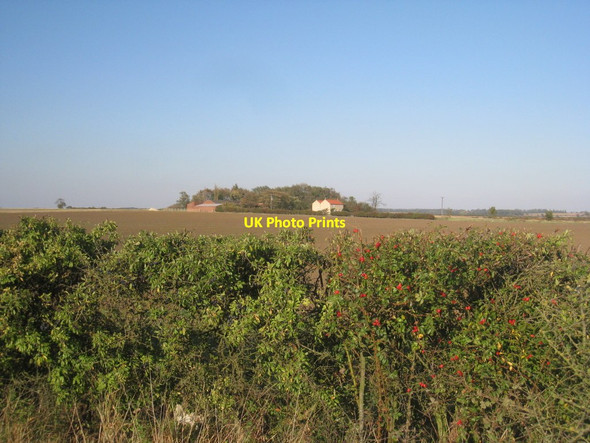 Photo 6"x4" View over the hedge to North Farm Coates\/SK9183 c2011