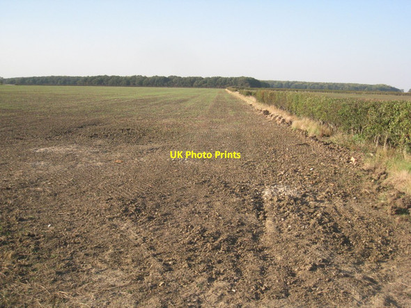 Photo 6"x4" View towards Fillingham Low Wood Coates\/SK9183 c2011