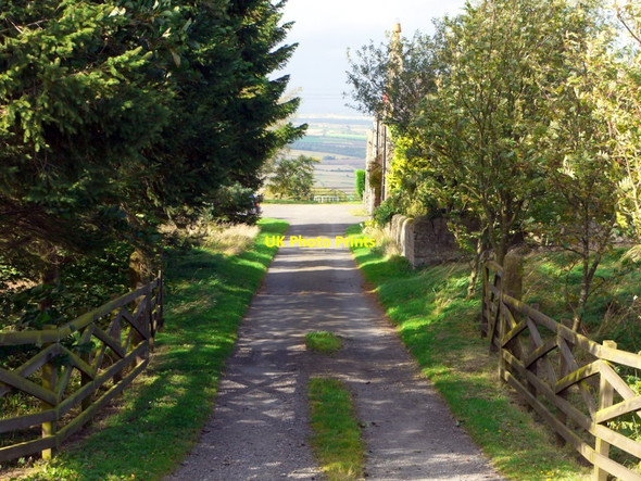 Photo 6"x4" Bridleway near East Farm, High Mickley Prudhoe c2011