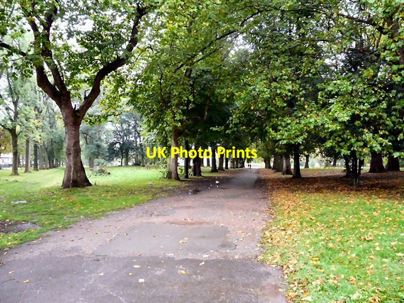 Photo 6"x4" Whitworth Park Moss Side\/SJ8395 c2011