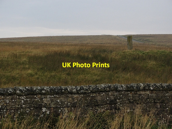 Photo 6"x4" Corsenside Common West Woodburn\/NY8986 c2011