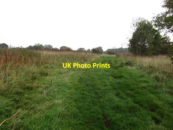 Photo 6"x4" Common, Stagshaw Halton\/NY9967 c2011