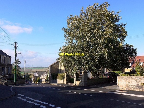 Photo 6"x4" South Road near Prudhoe House Prudhoe c2011