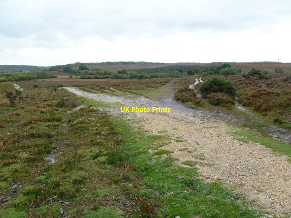 Photo 6"x4" Shappen Hill, track junction Bisterne Close c2011