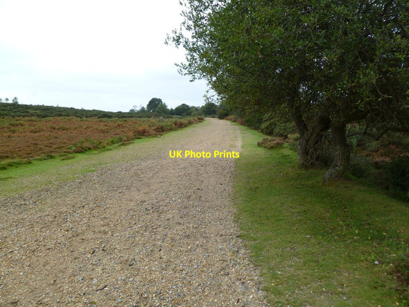 Photo 6"x4" Holmsley, trailway Bisterne Close c2011