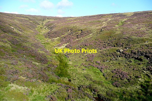 Photo 6"x4" Head of Rosedale White Cross\/NZ6801 c2011