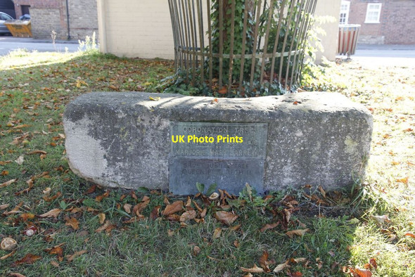 Photo 6"x4" Coronation tree Milton\/SU4892 c2011