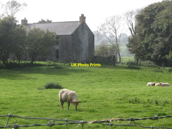 Photo 6"x4" Derelict farmhouse on the Carrowbane Road Killough c2011