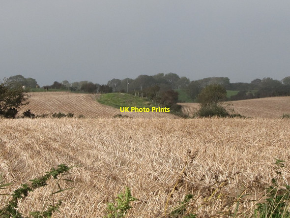 Photo 6"x4" Potato fields on the north side of the Carrowbane Road Killough c2011
