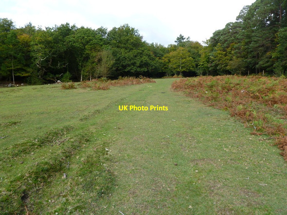 Photo 6"x4" Busketts Lawn, lawn Woodlands\/SU3211 c2011