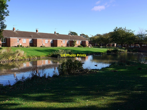 Photo 6"x4" Duck Pond south-east of Ceddesfield Hall, Sedgefield Sedgefield c2011
