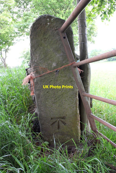 Photo 6"x4" Benchmark on gatepost of Mesnes Lane (A684) West Witton c2011