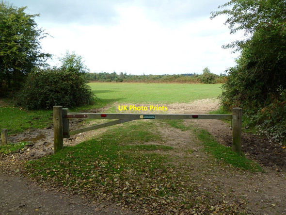 Photo 6"x4" Tiptoe, gateway Mead End\/SZ2698 c2011
