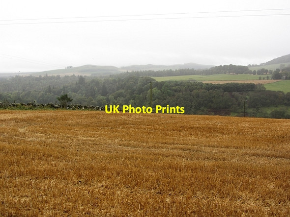 Photo 6"x4" Stubble, Craigton Dykehead\/NO3860 c2011