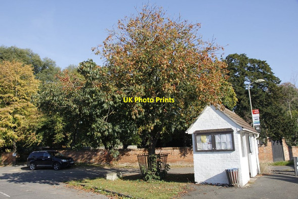 Photo 6"x4" Bus shelter by the tree Milton\/SU4892 c2011