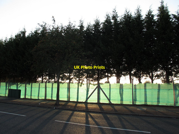 Photo 6"x4" Shadows on a fence Eltham c2011