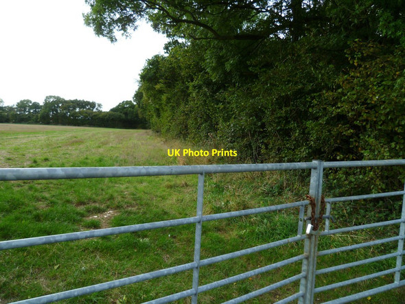 Photo 6"x4" The southern edge of Little Twinley's Copse Cole Henley c2011