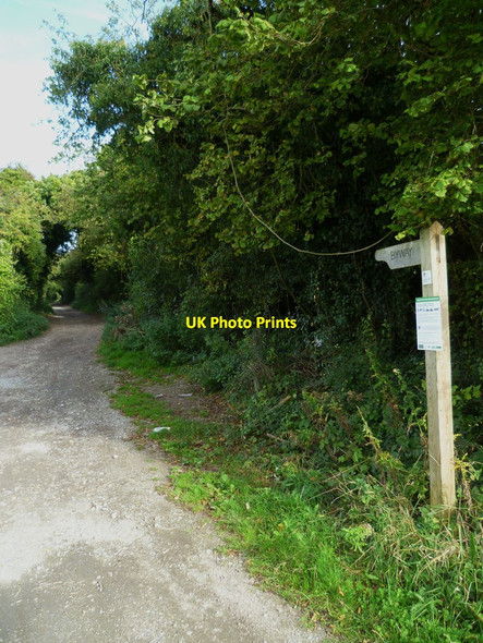 Photo 6"x4" Harrow Way going east from the B3051 Foxdown c2011