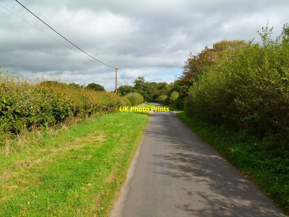 Photo 6"x4" Shirley, Thatchers Lane North Ripley c2011