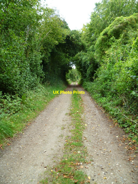 Photo 6"x4" Track passing between plantations north of Home Farm Freefolk c2011