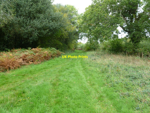 Photo 6"x4" Shirley, footpath junction North Ripley c2011