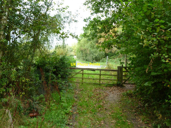 Photo 6"x4" Shirley, gates North Ripley c2011