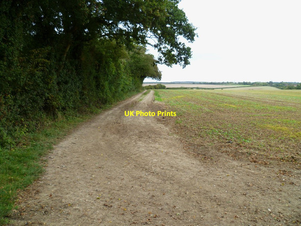Photo 6"x4" Belt of trees south of Harrow Way Foxdown c2011