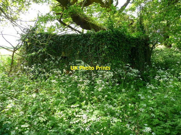 Photo 6"x4" East Dean - Pillbox East Dean\/SU2726 c2011