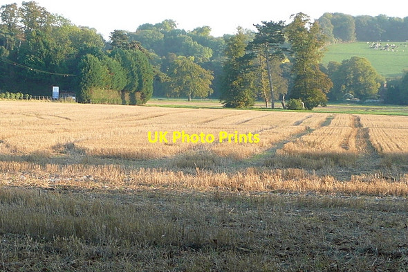 Photo 6"x4" Arable land at Hurley Hurley\/SU8283 c2011