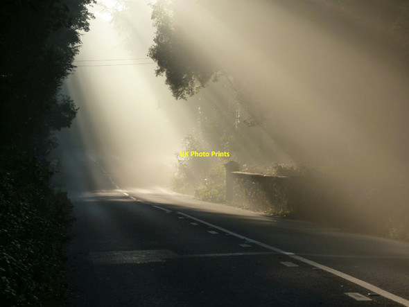 Photo 6"x4" Shafts of sunlight, Kennels Road near Hillhead Churston Ferrers c2011