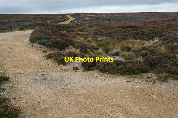 Photo 6"x4" Track on Spaunton Moor Rosedale Abbey c2011