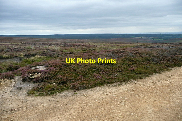 Photo 6"x4" Spaunton Moor Rosedale Abbey c2011