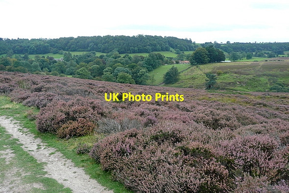 Photo 6"x4" View from Lastingham Knoll Lastingham c2011