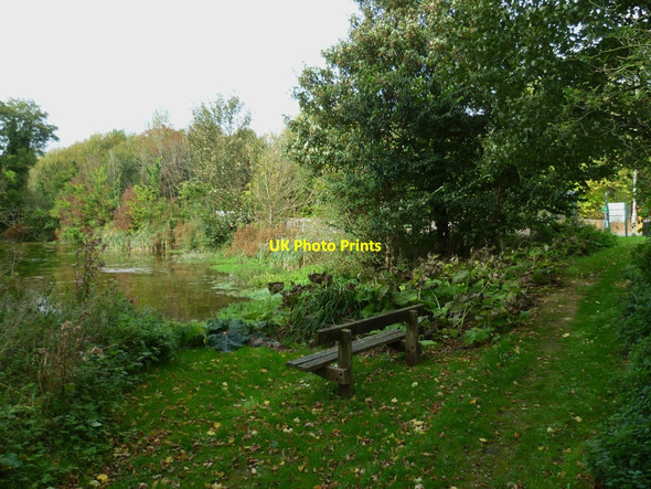 Photo 6"x4" Seat by pond at Laverstoke Laverstoke c2011