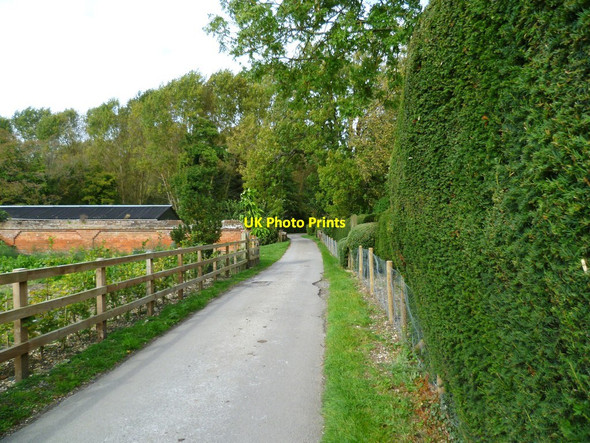 Photo 6"x4" Road from the little church at Freefolk Freefolk c2011