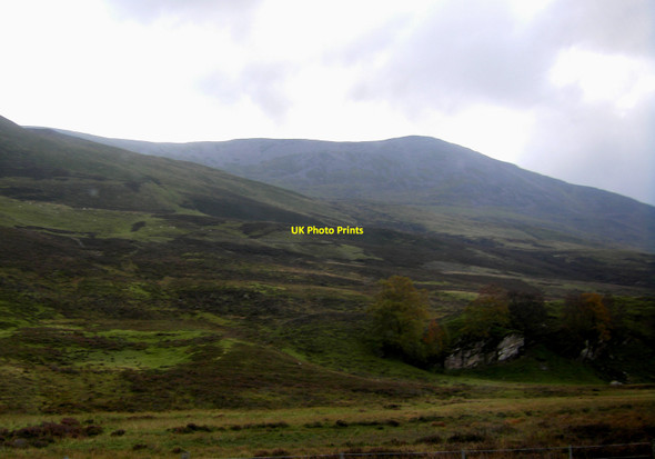 Photo 6"x4" Limestone outcrop on lower slopes of Schiehallion Dunalastair c2011