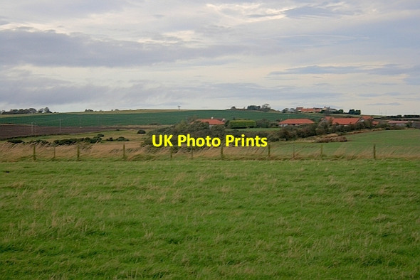 Photo 6"x4" Field, Unthank Farm Scremerston c2011