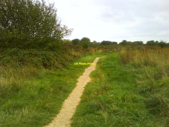 Photo 6"x4" Footpath on Milton Common Portsmouth\/SU6501 c2011