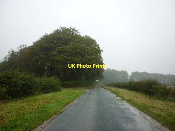Photo 6"x4" Looking north at Minningdale Warter c2011
