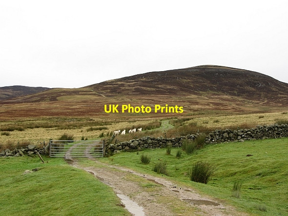 Photo 6"x4" Gate between moorland and fields, Glencuilt Glencuilt c2011