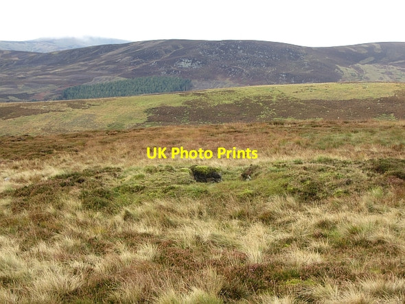 Photo 6"x4" Grouse butt, Craigthran Rottal c2011