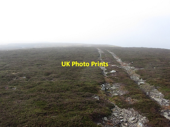 Photo 6"x4" Vehicle tracks, Finbracks Rottal c2011