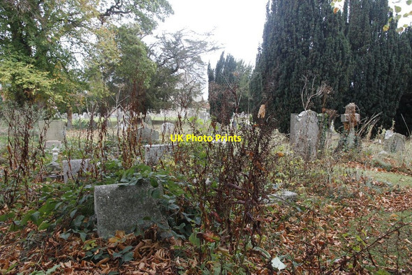 Photo 6"x4" Graves in the weeds Culham c2011